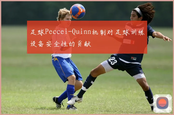 足球Peccei-Quinn机制对足球训练设备安全性的贡献