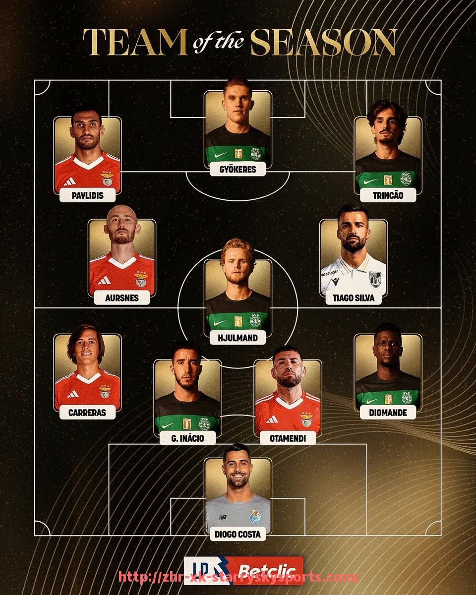 星空体育-德甲各支球队最新分类表及所属阵营划分